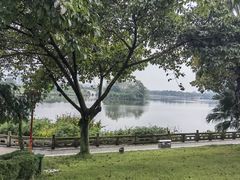 -眉山湿地公园(东坡区)