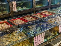 -新金盛·海鲜酒楼(盐田店)