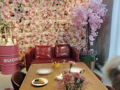 -百好乐宠物友好餐厅(朝外大街店)