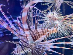 -海合安天津极地海洋公园