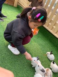 -萌宠亲子动物乐园(槐房万达店)