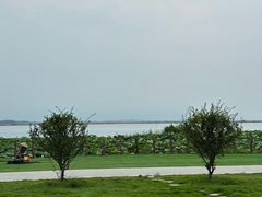 -七的湖·晚芳亭·阳澄湖农家菜·大闸蟹(莲花岛店)
