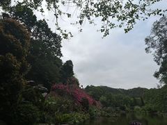 -深圳仙湖植物园