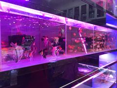 -双季花艺园艺市场(浦东店)