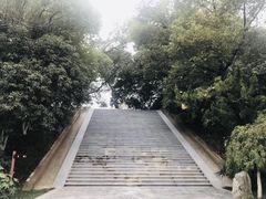 -菊花台公园