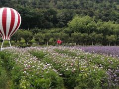 -东海半边山旅游度假区