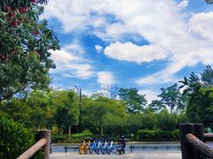 -新江湾城公园