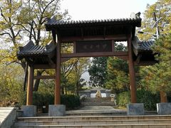 -阳台山自然风景区