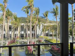 -半山半岛洲际度假酒店·观海廊