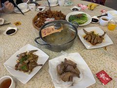 -百利鸽王(紫薇路店)