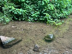 -重庆彩云湖湿地公园