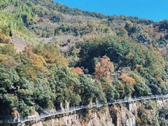 -溪口-滕头旅游景区
