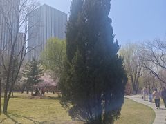 -长春公园(普阳街道)