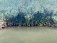 -捞渔河湿地公园