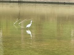 -广东药科大学(广州校区大学城校园)