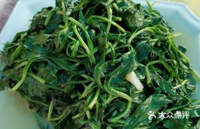 Stir-Fried Malan Head