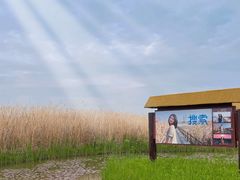 -宁波杭州湾国家湿地公园