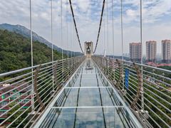 -客天下恐龙水晶玻璃桥