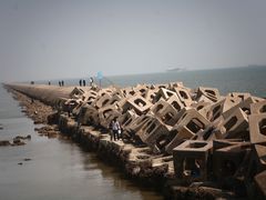 -东疆建设开发纪念公园