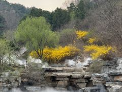 -北京西山国家森林公园