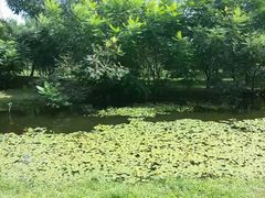 -长白岛森林公园