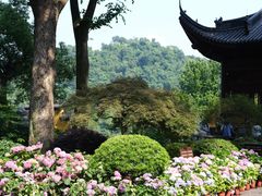 -灵隐飞来峰景区