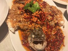 -杨氏青龙虾·羊蝎子(金盛路总店)