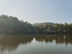 -美丽南方·老木棉匠园·团建烧烤·烤全羊