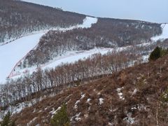 -密苑云顶乐园(云顶滑雪场)