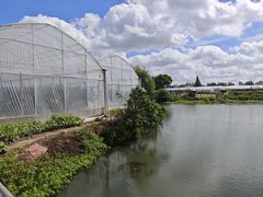 -马陆小张葡萄园农家乐