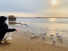 -金梦海湾浴场