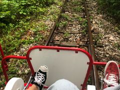 -合肥滨湖国家森林公园