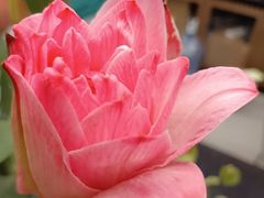 -银座和谐广场