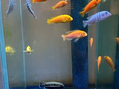 -半勺·新徽菜(银泰城店)