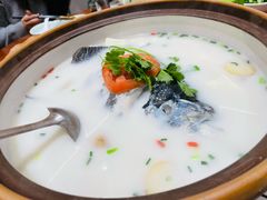 -全乐鱼馆·淳牌有机鱼直营店