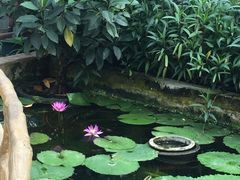 -国家植物园南园