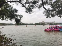 -惠州西湖