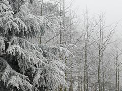 -秦岭终南山世界地质公园翠华山景区