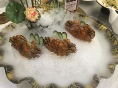 -骏莱海鲜鱼港(五角场店)