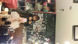 android_upload_pic-费拉摄影(天廊T66店)