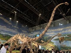 -自贡恐龙博物馆