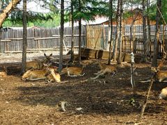 -北极村旅游风景区