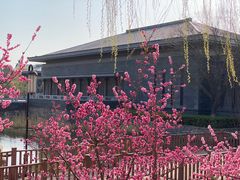 -鹦鹉寺公园