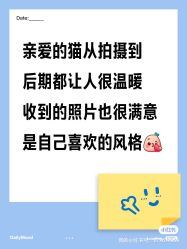-MAO亲爱的猫婚纱摄影工作室