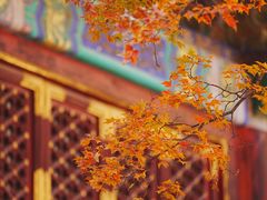 -香山公园