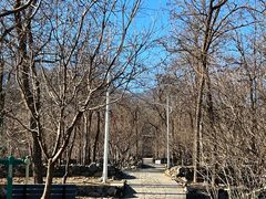 -阳台山自然风景区