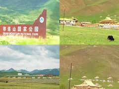 -祁连山草原