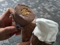 -富豪雪糕车流动点(尖沙咀店)