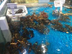 -哈尔信食品超市(哈尔滨王府井购物中心店)