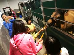 -李振强马术运动推广中心(南城店)